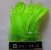  strong neck hackle chartreuse Super Fly